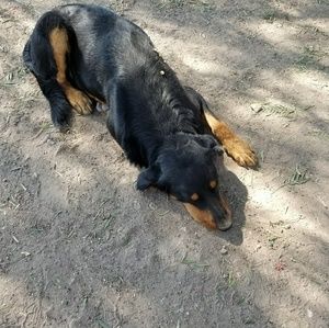 Meet your Posher, Alan